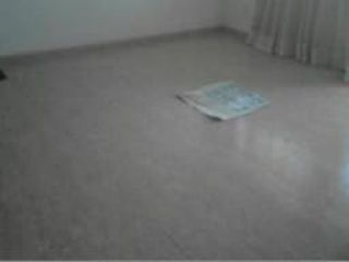 Vivienda en Roda de Barà Vivienda en Roda de Barà