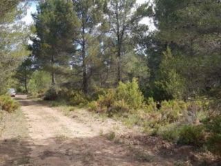Finca rustica en 3200 Finca rustica en 3200
