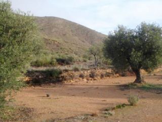 Parcela Paraje De La Magdalena. Parc 14 Pol 109, Yecla Parcela Paraje De La Magdalena. Parc 14 Pol 109, Yecla