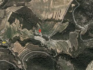 24817-0003 24817-0003