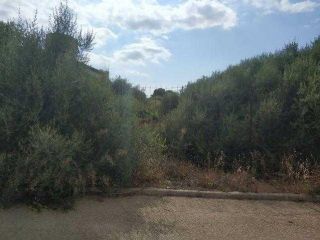 Terreno urbanizable en venta en <span class="calle-name">c. pau casals Terreno urbanizable en venta en <span class="calle-name">c. pau casals