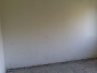 43915-0001 43915-0001