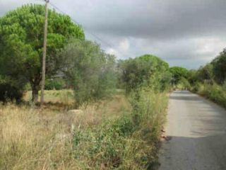 Parcela unifamiliar en Reus Parcela unifamiliar en Reus