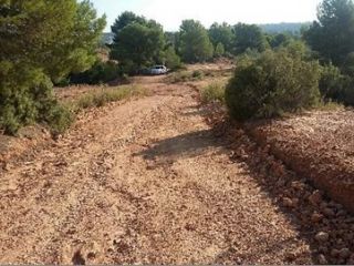 Rústico en venta en Pre. Conejera, Par. 126, Venta Del Moro, Valencia Rústico en venta en Pre. Conejera, Par. 126, Venta Del Moro, Valencia