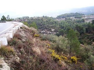 Parcela Partida Sampol, Poligono, Benimarfull Parcela Partida Sampol, Poligono, Benimarfull