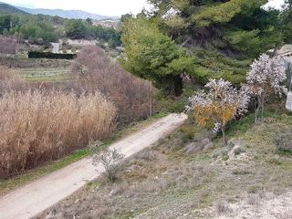 Parcela Urbanización Finca Terol, Parcela C, Tibi Parcela Urbanización Finca Terol, Parcela C, Tibi