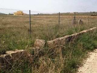Parcela Partida Culebron , Pol., Pinoso Parcela Partida Culebron , Pol., Pinoso