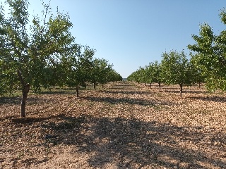 Partida Vallejo de Taravilla