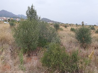 Vall d'Uixó, la (Castellón)