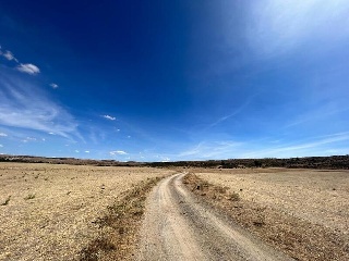 DEHESA DE LA HUERTA DE AB