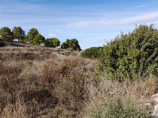 TORRE GUIL.UA FRONDOSO VALLEY. FASE II