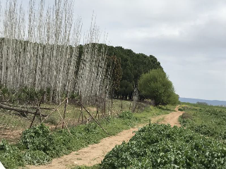 CAMINO DEL PORCILLO, Polígono 3 Parcela 28