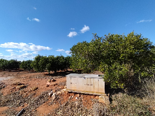 PARAJE BENADRESA- POLIG 92-PARC 15 Y 16