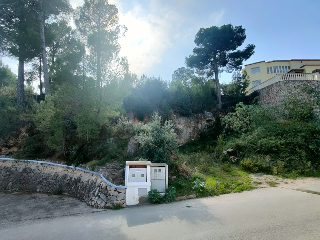 ROBLE -URBANIZACIÓN MONTE CORONA