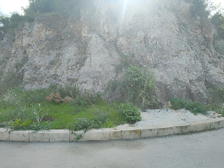 NARANJO - URBANIZACIÓN MONTE CORONA