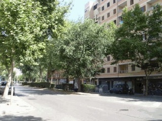 Piso en C/ Manacor - Palma de Mallorca -