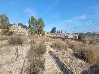 Suelo rústico en Molina de Segura