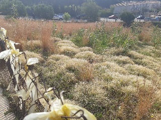 Suelos en Sant Feliu de Guíxols ,Girona