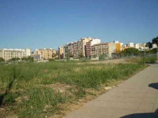 Solar en Alzira (Valencia)