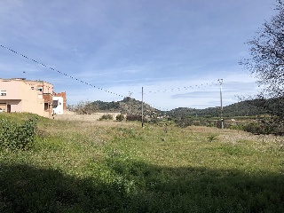 Terreno en Canals (Valencia)