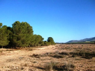 Suelo rústico en Pr Cañada del Toyo, Aledo (Murcia)