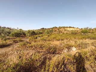 Suelo en Almogía (Málaga)