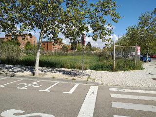 Suelos urbanos en C/ San Alberto Magno - Zaragoza -