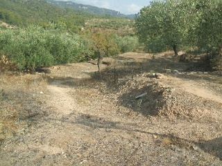 Suelo rústico en Tivissa