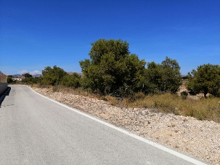 Cobre Garroferal