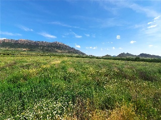 Jumilla (Murcia)