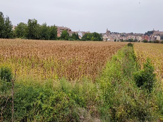 CR CAMARASA-SAU3,405 Balaguer (Lérida/Lleida)