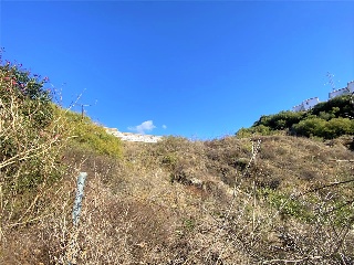 Las Abejeras. Urbanización Montesol