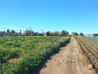 Poligono Sus-Dmn-04 Aeropuerto Viejo