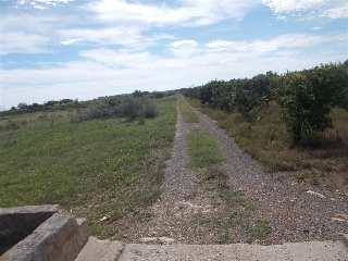 Huerta Siembra En Paraje Rafol