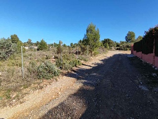 Partida Corral De Albert O Safareig