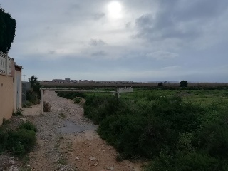 Paraje Partida Rural De Valverde Bajo "Cipreres"-Polig.6-Parcela 74