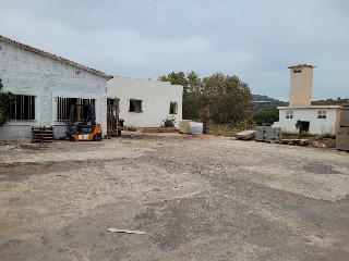 Onda S.N, Partida De Oliva