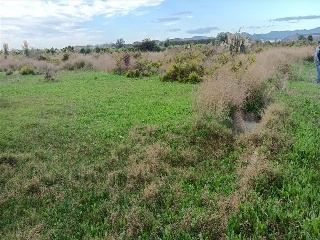 RAFOL, POLIGONO 3, PARCELA 637