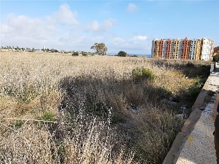 DIPUTACION DEL RINCON DE SAN GINES