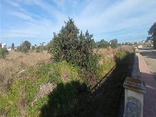 BENISSA-PUERTA OLIVAR