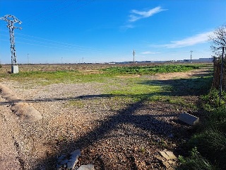 28.(COMARCA LA RIBERA ALTA.PARAJE EL PAR.301)