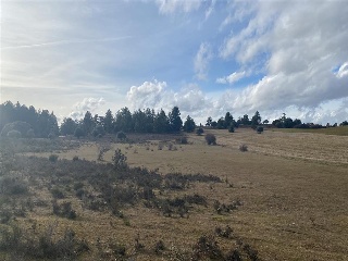 LOMAS NORTE, POLIGONO 529, PARCELA