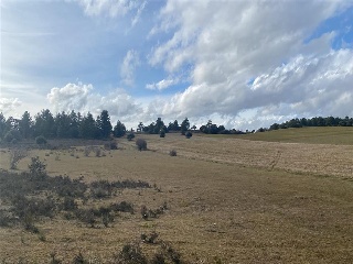 LOMAS NORTE, POLÍGONO 530, PARCELA