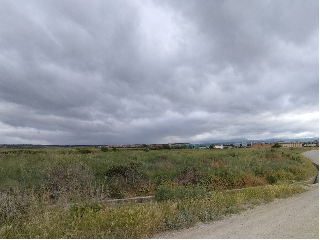 PARAJE LA PEDRERA O VERADILLO