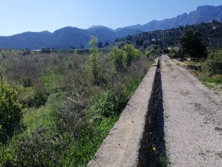 PARAJE PLA DE GORRA O CAMBRILS, POLIG 7