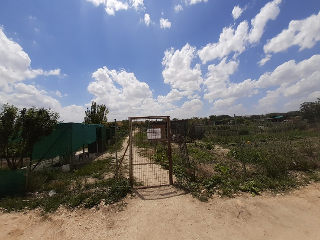 HUERTA DE ABAJO TIERSA Y LONGUERA