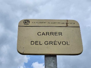 DEL GREVOL