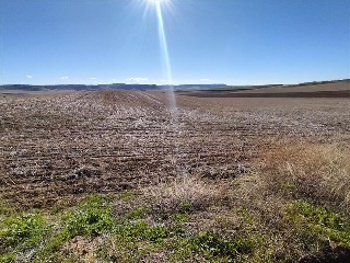 PARAJE CUSTODIA, Polígono 2, Parcela 32