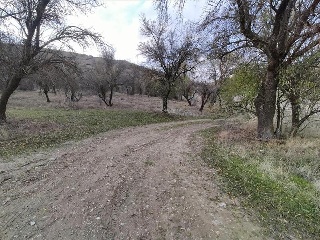 PARAJE EL ROBREDAL Y VALDELAGUILA, Polígono 1 Parcela 5499