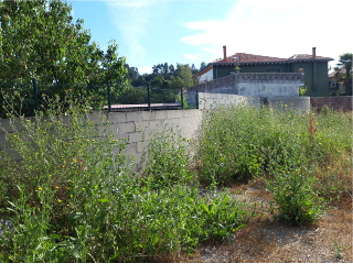 LOS JARDINES DE RINCONEDA II, BARR. RINCONEDA 15 M